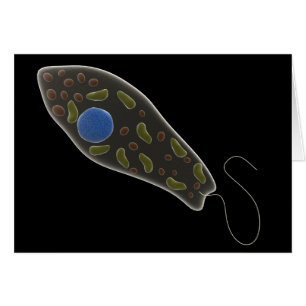 Konceptuell bild av Euglena 1 Hälsningskort