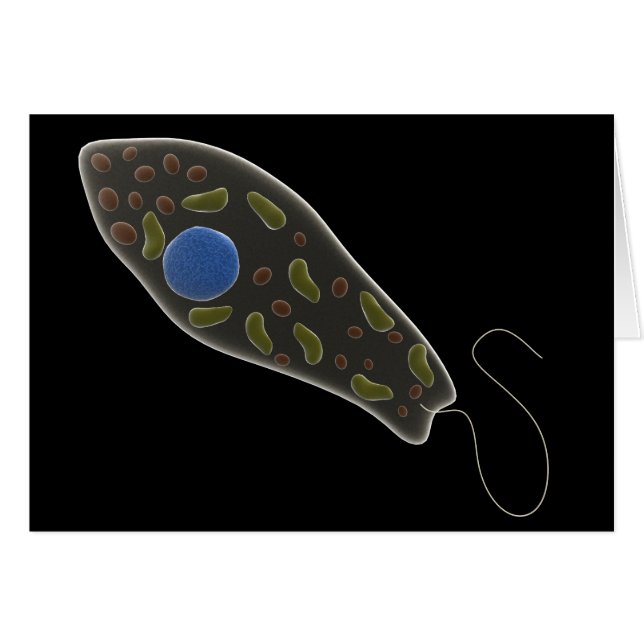 Konceptuell bild av Euglena 1 Hälsningskort (Framsidan Horizontal)