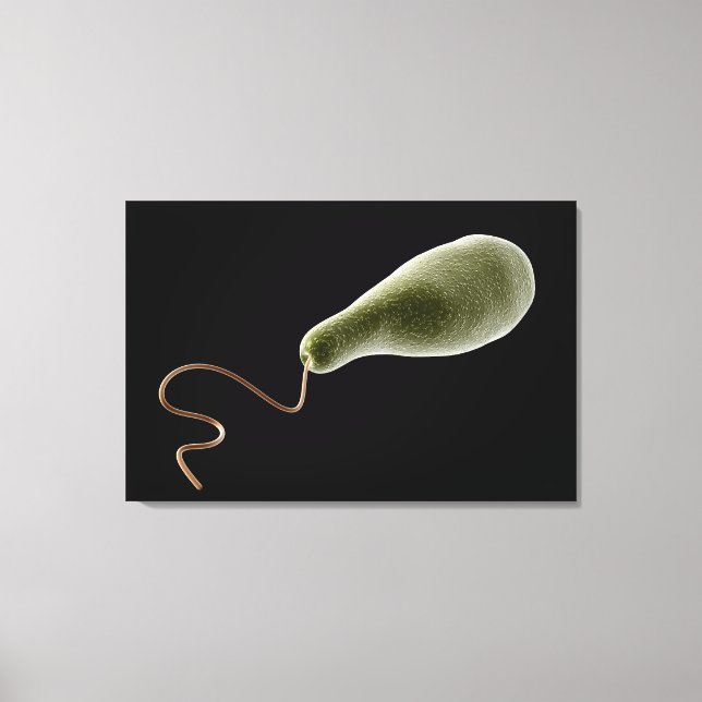 Konceptuell bild av Euglena 2 (Framsida)