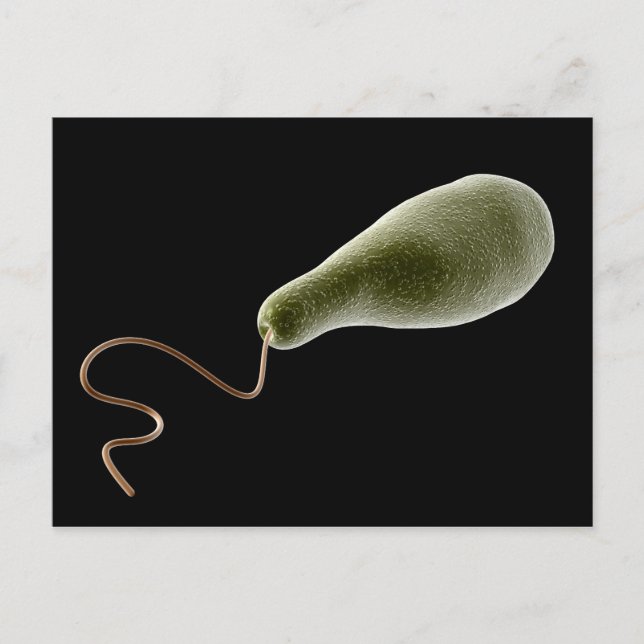 Konceptuell bild av Euglena 2 Vykort (Framsida)