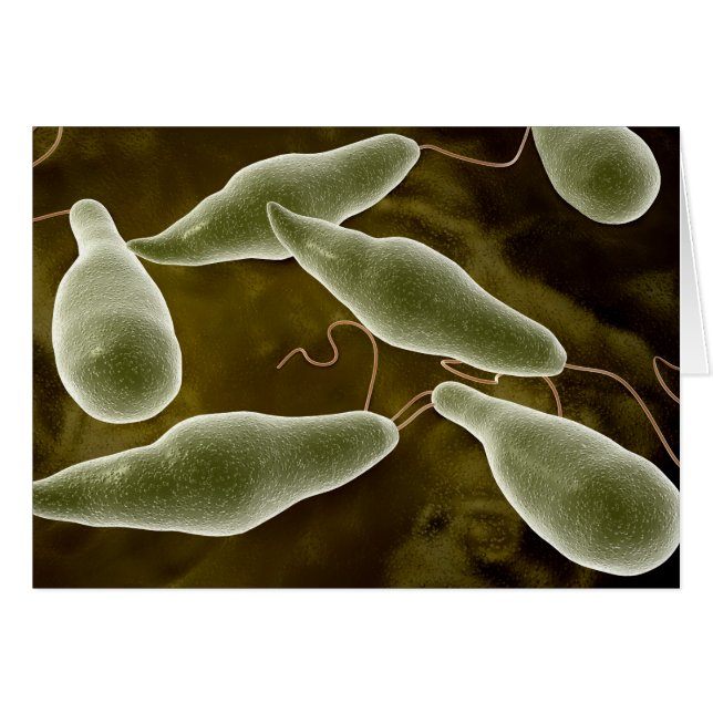 Konceptuell bild av Euglena 3 Hälsningskort (Framsidan Horizontal)