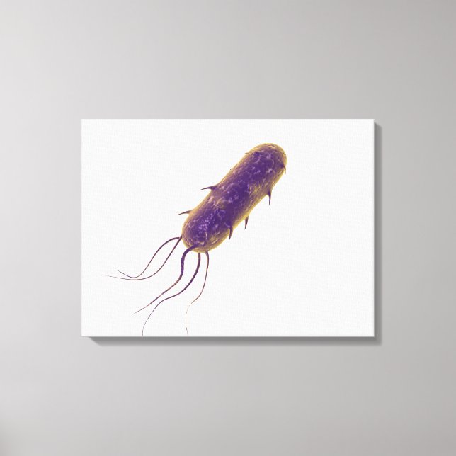 Konceptuell bild av Flagellatbakterie 2 (Framsida)