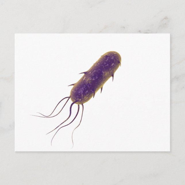 Konceptuell bild av Flagellatbakterie 2 Vykort (Framsida)