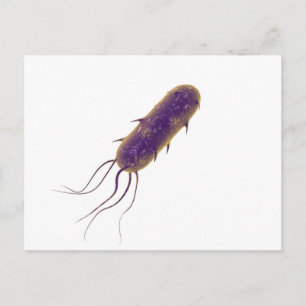 Konceptuell bild av Flagellatbakterie 2 Vykort