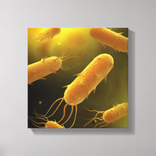 Konceptuell bild av Flagellatbakterie 3