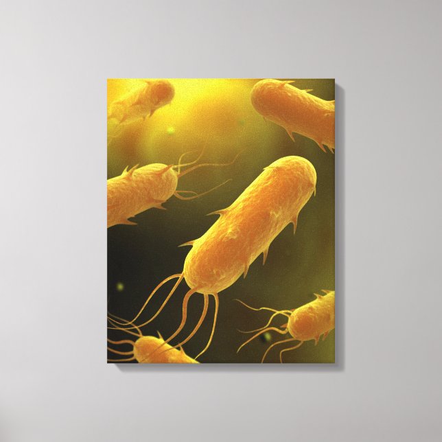 Konceptuell bild av Flagellatbakterie 3 (Framsida)