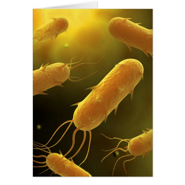 Konceptuell bild av Flagellatbakterie 3 Hälsningskort (Framsidan)