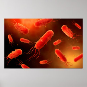 Konceptuell bild av Flagellatbakterien 1 Poster