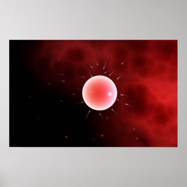 Konceptuell bild av gemensam gödning poster (Framsidan)