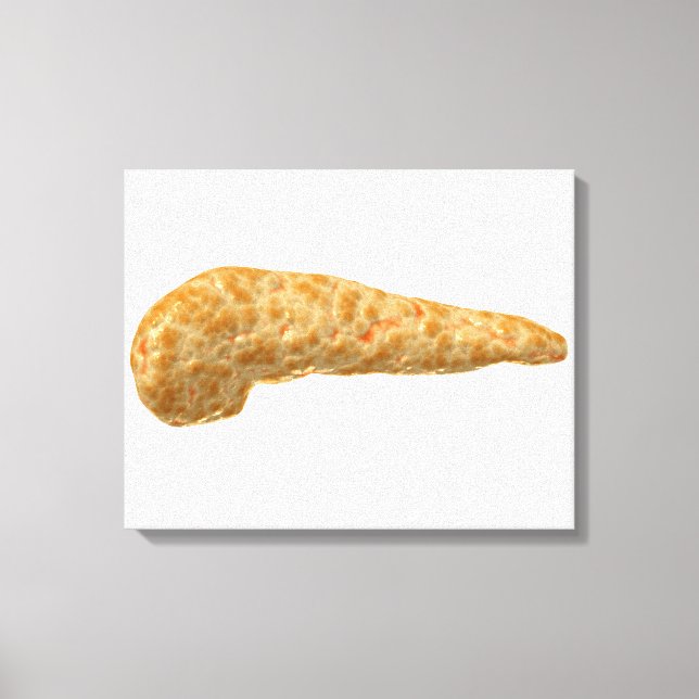 Konceptuell bild av humana bukspottkörteln (Framsida)