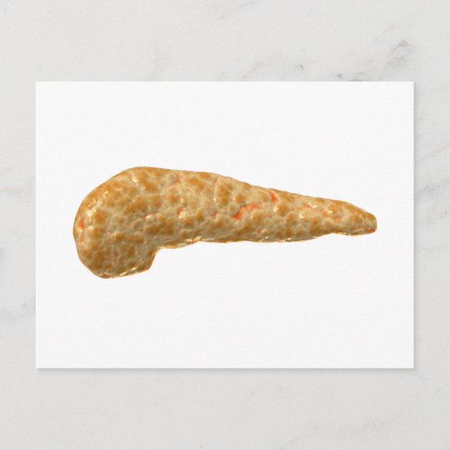 Konceptuell bild av humana bukspottkörteln vykort (Framsida)