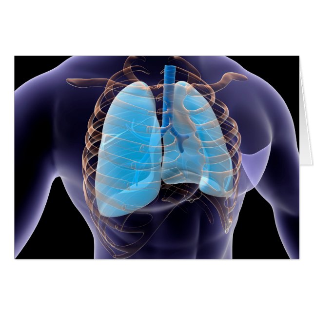 Konceptuell bild av humana lungar och revbensburar hälsningskort (Framsidan Horizontal)