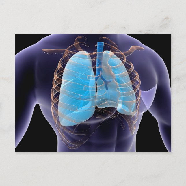 Konceptuell bild av humana lungar och revbensburar vykort (Framsida)