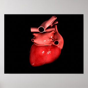 Konceptuell bild av humant hjärta 3 poster