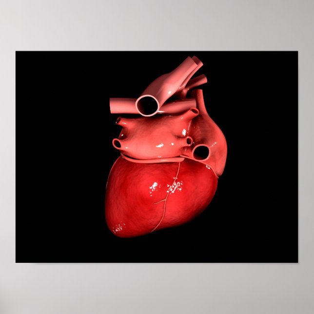 Konceptuell bild av humant hjärta 3 poster (Framsidan)