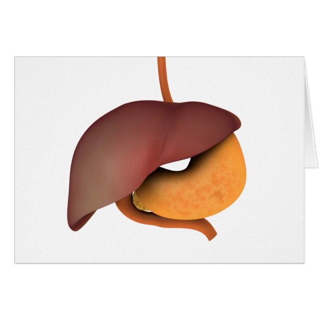 Konceptuell bild av humant matsmältningssystem 3 hälsningskort (Framsidan Horizontal)