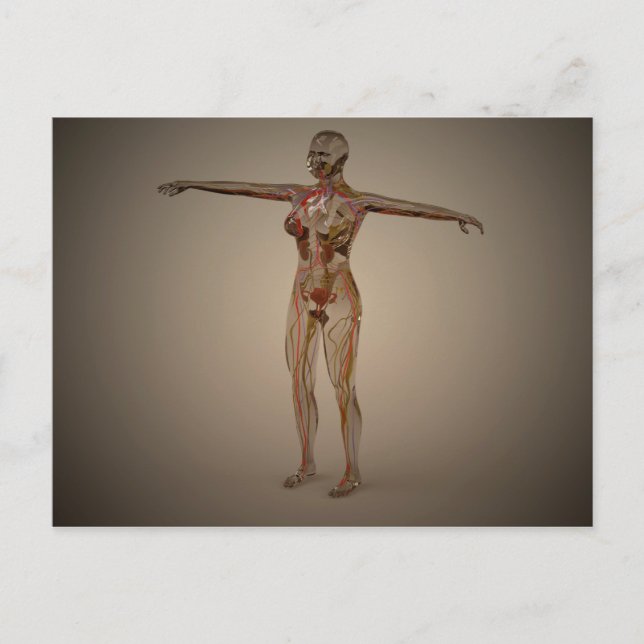 Konceptuell bild av humant nervsystem 2 vykort (Framsida)