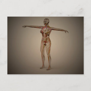 Konceptuell bild av humant nervsystem 2 vykort