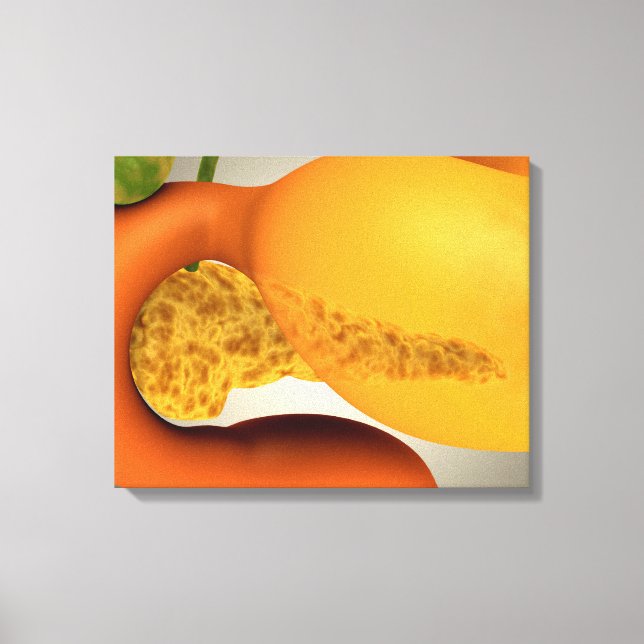 Konceptuell bild av humant pankreas och stomach (Framsida)