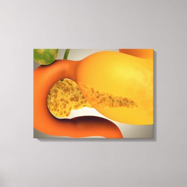 Konceptuell bild av humant pankreas och stomach (Framsida)