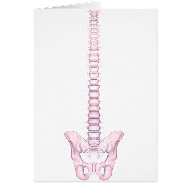 Konceptuell bild av humant ryggben 2 hälsningskort (Framsidan)