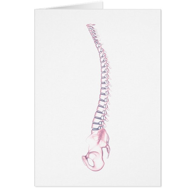 Konceptuell bild av humant ryggben 3 hälsningskort (Framsidan)