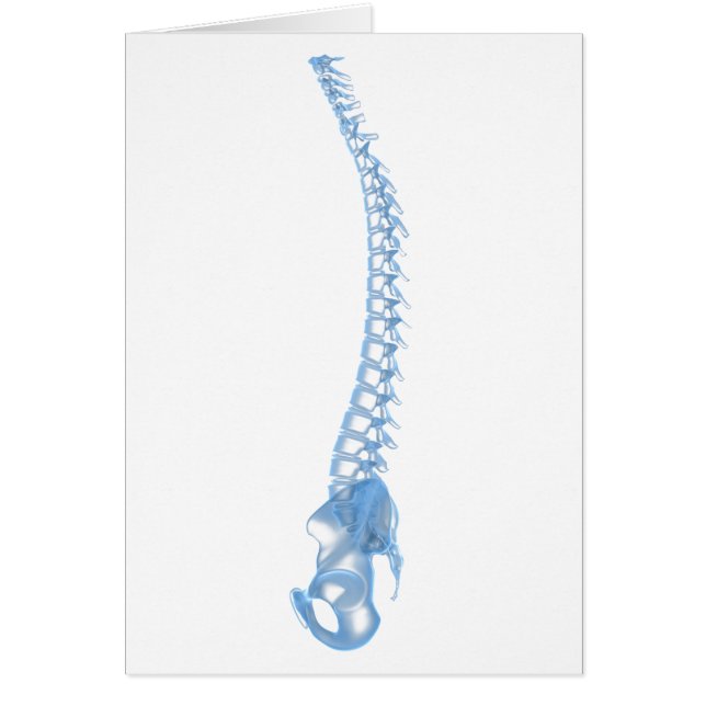 Konceptuell bild av humant ryggben 5 hälsningskort (Framsidan)