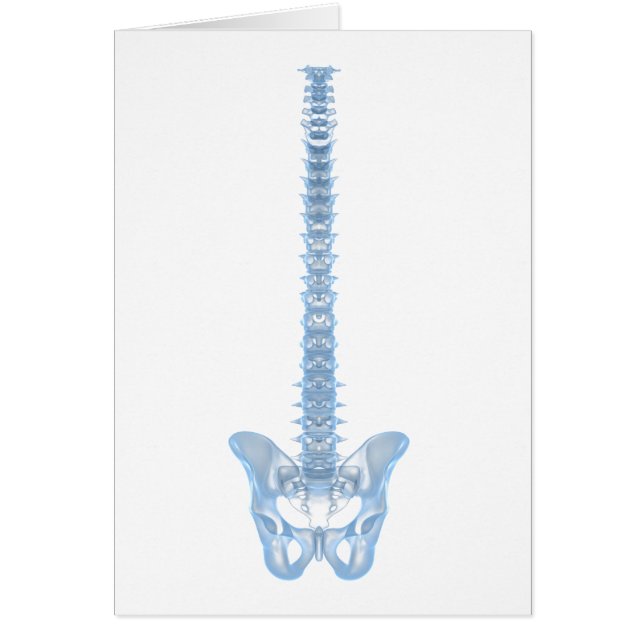 Konceptuell bild av humant ryggben 6 hälsningskort (Framsidan)