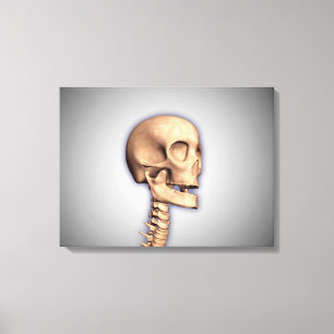 Konceptuell bild av humant skal och ryggmärg 2