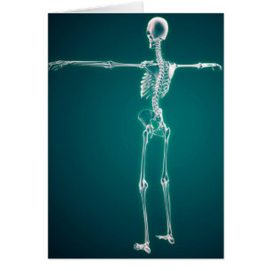 Konceptuell bild av humant skelettsystem hälsningskort