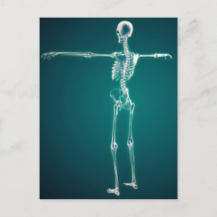 Konceptuell bild av humant skelettsystem vykort
