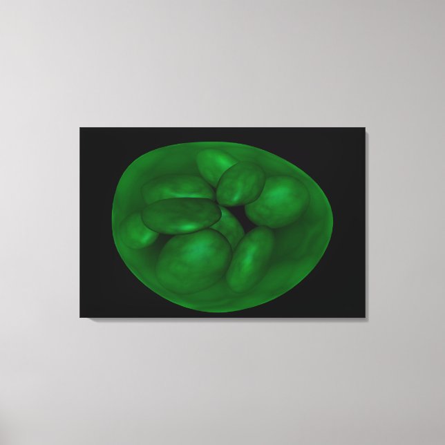Konceptuell bild av klorplast 2 (Framsida)
