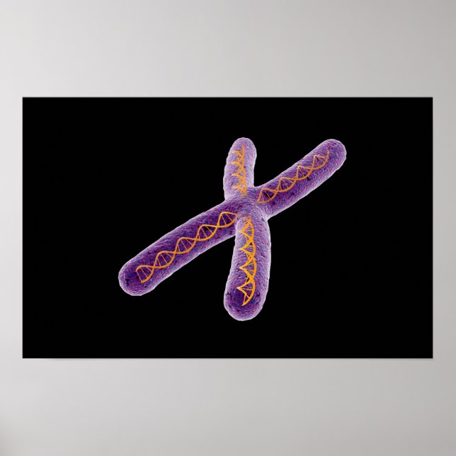 Konceptuell bild av kromosom 2 poster (Framsidan)