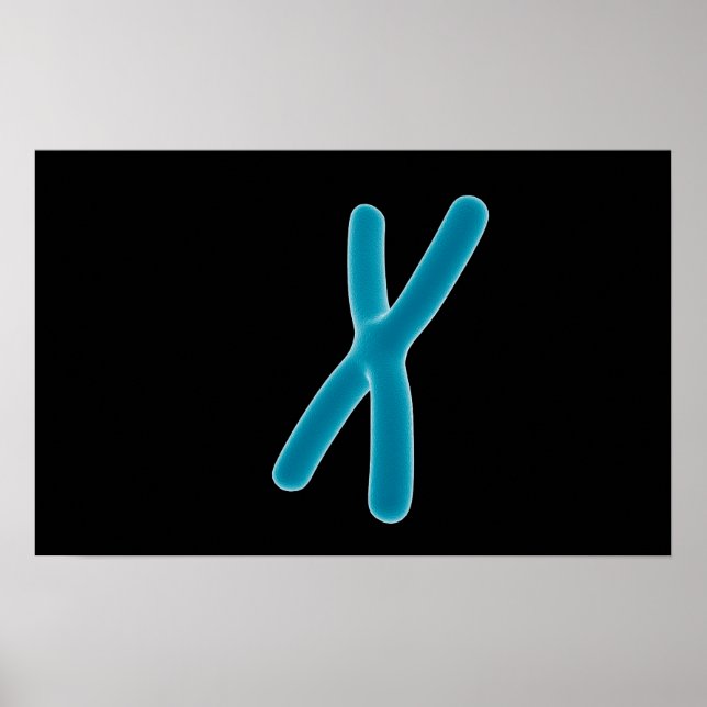 Konceptuell bild av kromosom 3 poster (Framsidan)