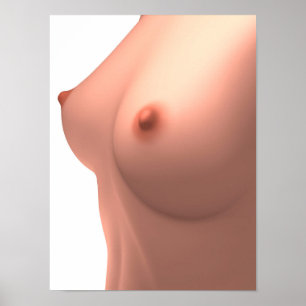 Konceptuell bild av kvinnlig bröst poster