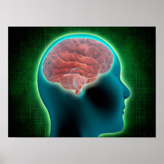Konceptuell bild av kvinnlig kropp med hjärna 2 poster (Framsidan)