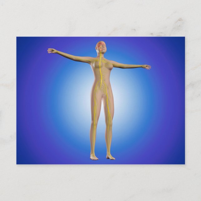 Konceptuell bild av kvinnligt nervsystem vykort (Framsida)