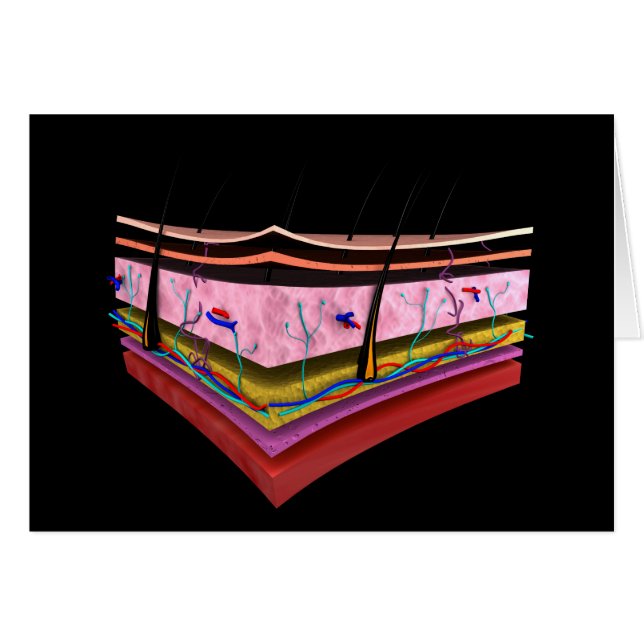 Konceptuell bild av Lagrarna på humant hud 1 Hälsningskort (Framsidan Horizontal)
