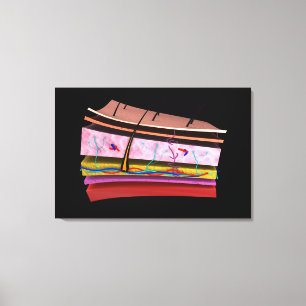 Konceptuell bild av Lagrarna på humant hud 2