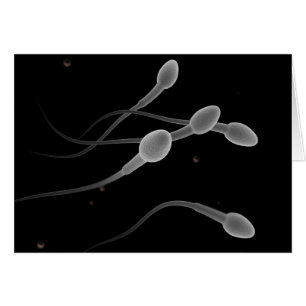 Konceptuell bild av manlig sperma hälsningskort