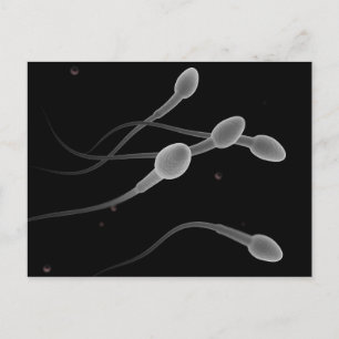 Konceptuell bild av manlig sperma vykort