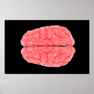 Konceptuell bild av människokroppen 10 poster