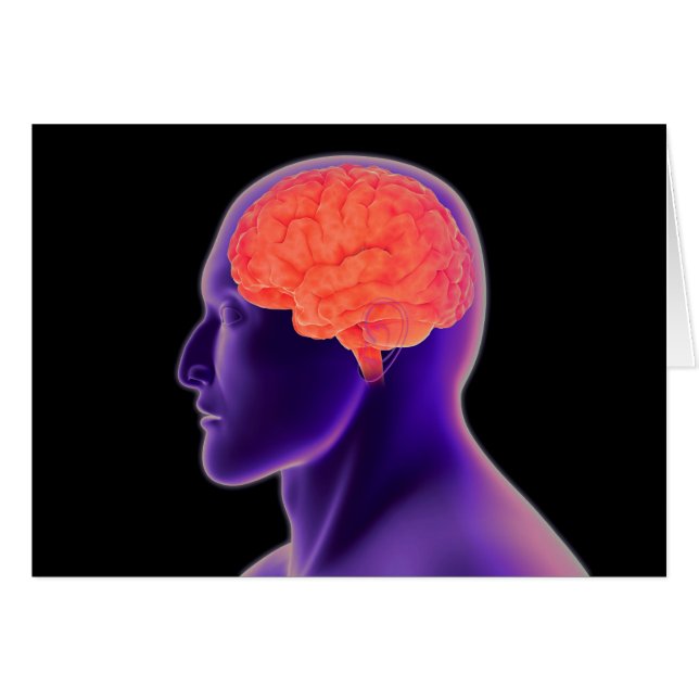 Konceptuell bild av människokroppen 1 hälsningskort (Framsidan Horizontal)