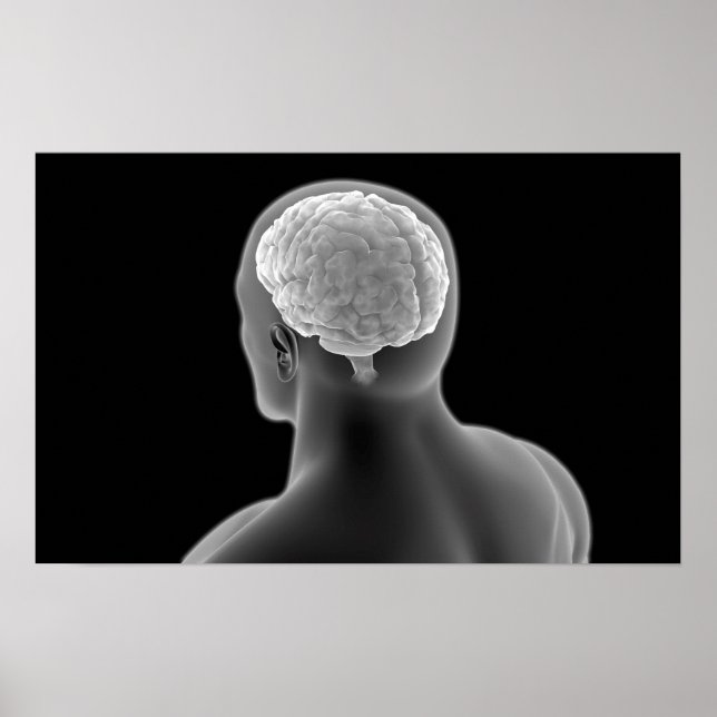 Konceptuell bild av människokroppen 2 poster (Framsidan)