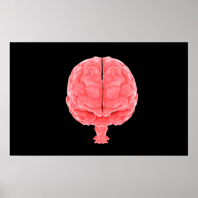 Konceptuell bild av människokroppen 3 poster (Framsidan)