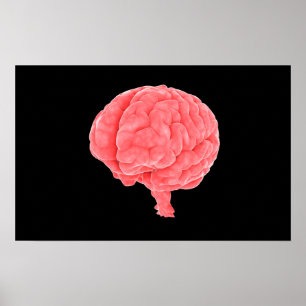 Konceptuell bild av människokroppen 5 poster