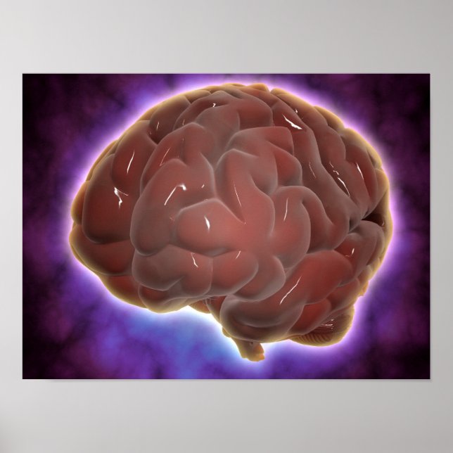 Konceptuell bild av människokroppen 6 poster (Framsidan)