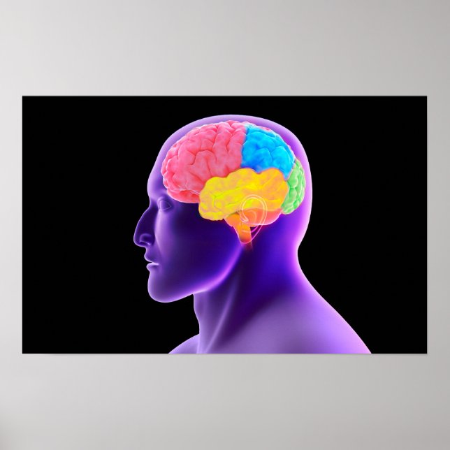 Konceptuell bild av människokroppen 7 poster (Framsidan)