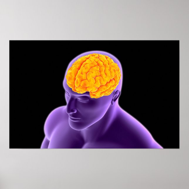 Konceptuell bild av människokroppen 8 poster (Framsidan)