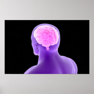 Konceptuell bild av människokroppen 9 poster